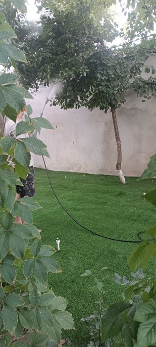 Cрочно продам дачу в паркенте