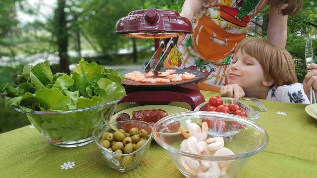 Zaigle Grill Electric Sanatos cu Infrarosu