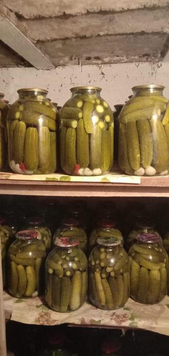 Продам домашнее соленье ,огурцы,очень вкусные