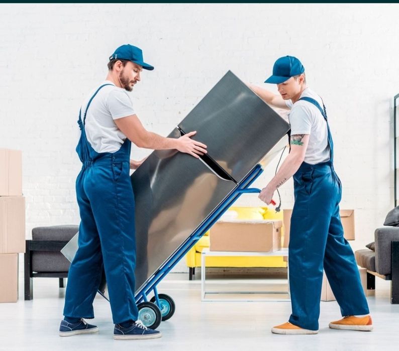 Mutari mobila bagaje cutii birouri transport duba canapea mobila ikea