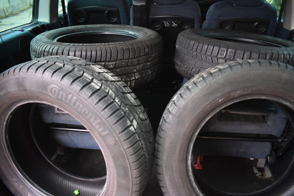 Lancea Phedra 2.0 2010