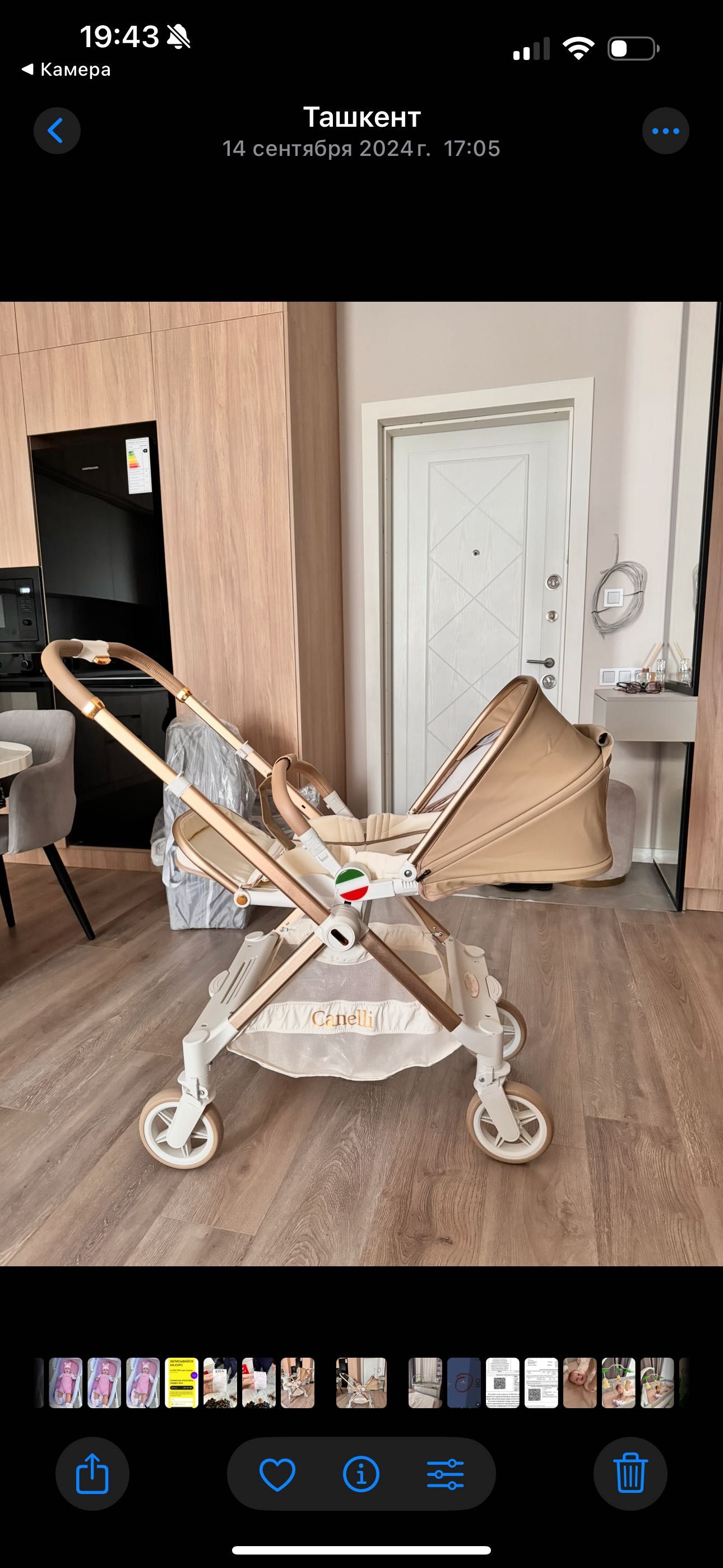 Коляска прогулочная Canelli