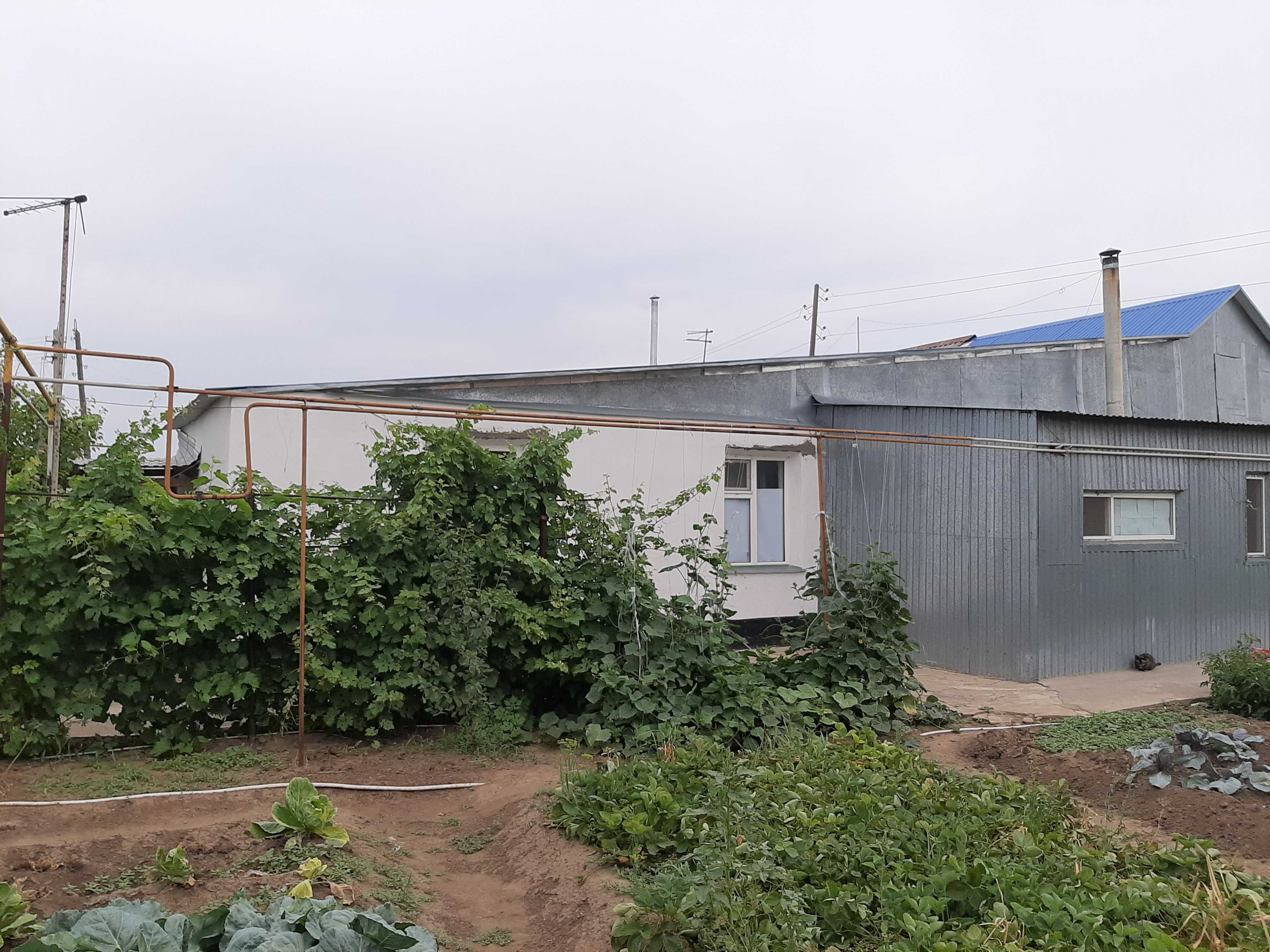 Продам жилой дом в Подстепном