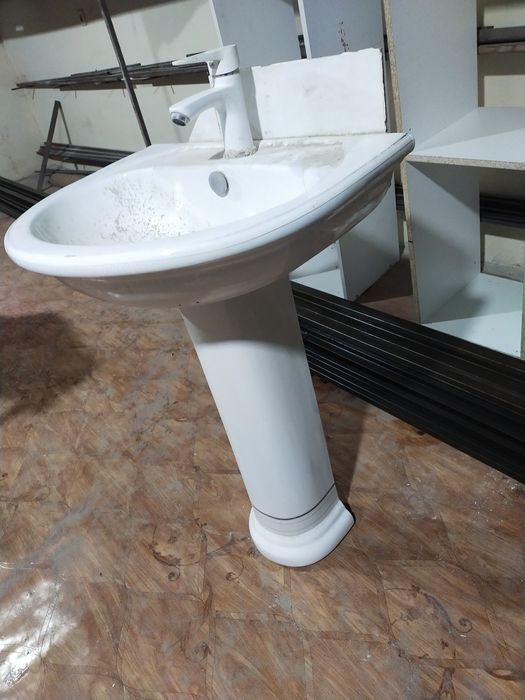 Раковина тюльпан