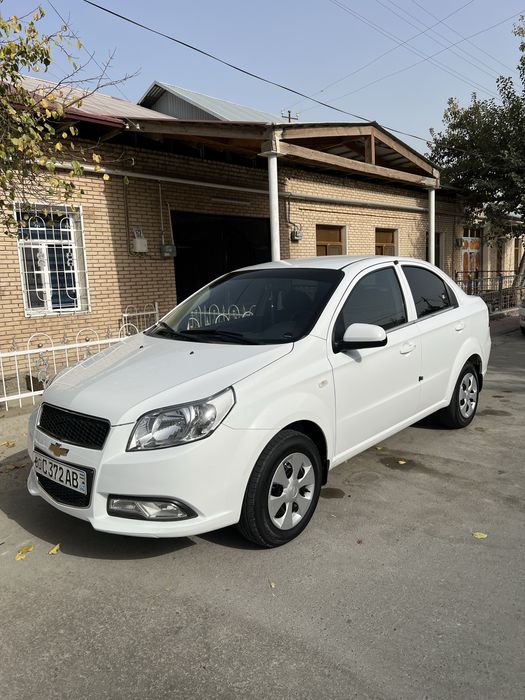 Метани бор краскаси радной 100%