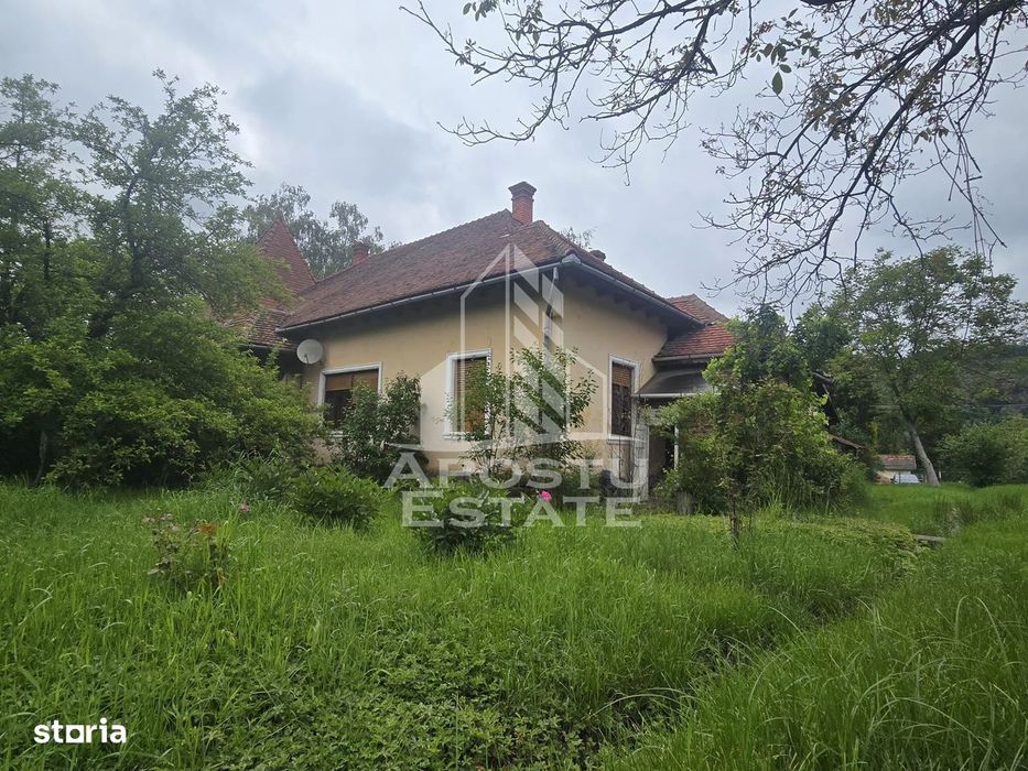 Proprietate cu potential turistic in Gurahont