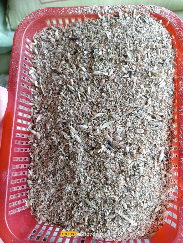 Yem maxsulotlari