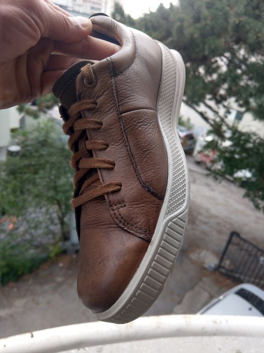 Ecco 41нм. 26,0см.