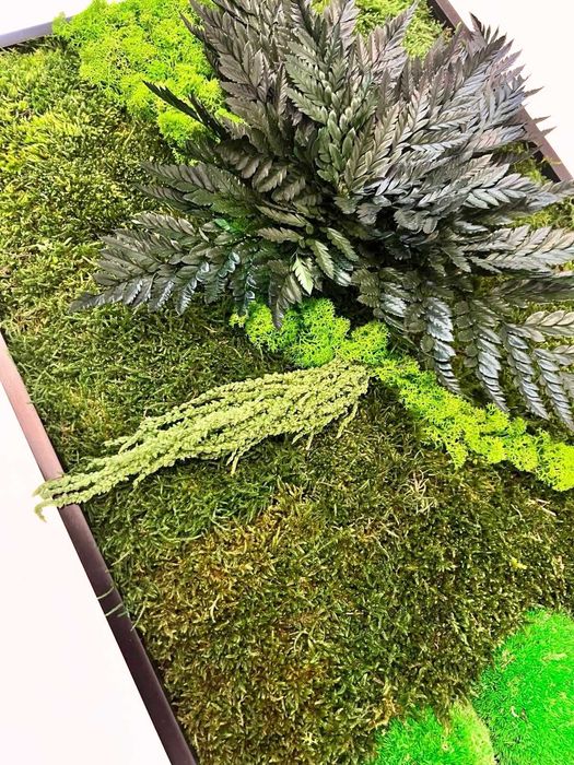 Tablou cu licheni, mușchi naturali stabilizați și plante criogenate