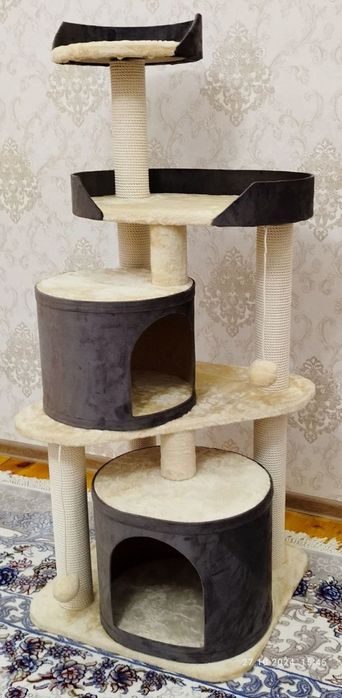 Кашачи доммики сотилади