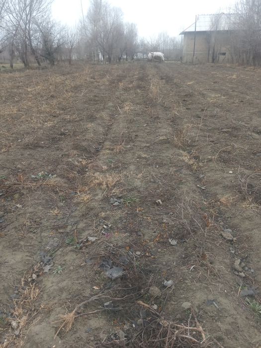 Ер участка ховлимдан20 сотх0сотих сотаман