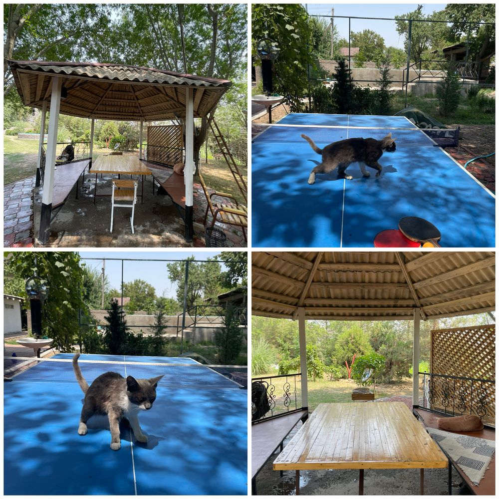 Dacha sutochnaya arenda
