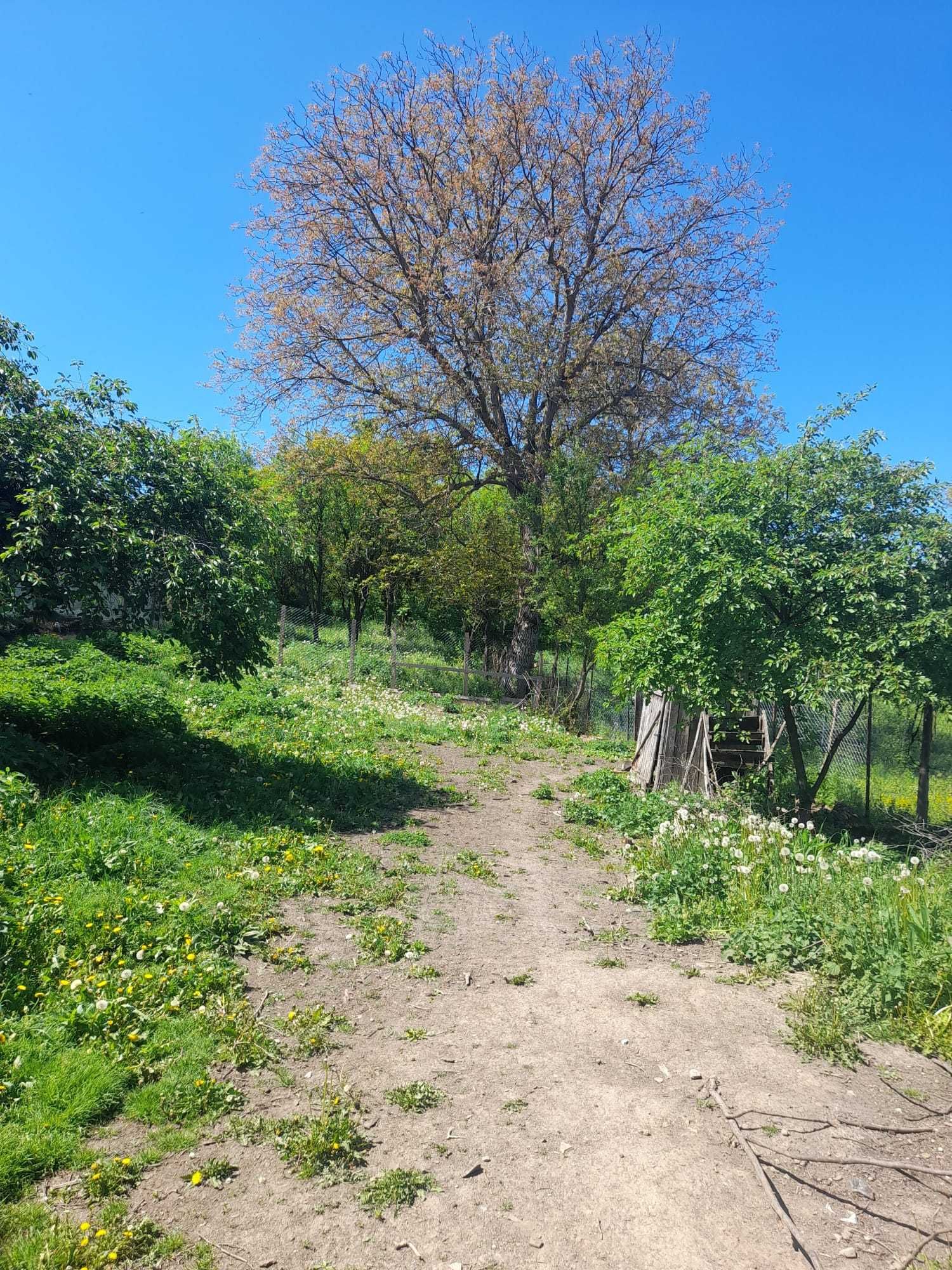 Vand casa in Lupu (langa Blaj,Alba)