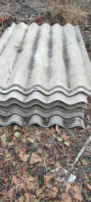 Шифер цена договорная