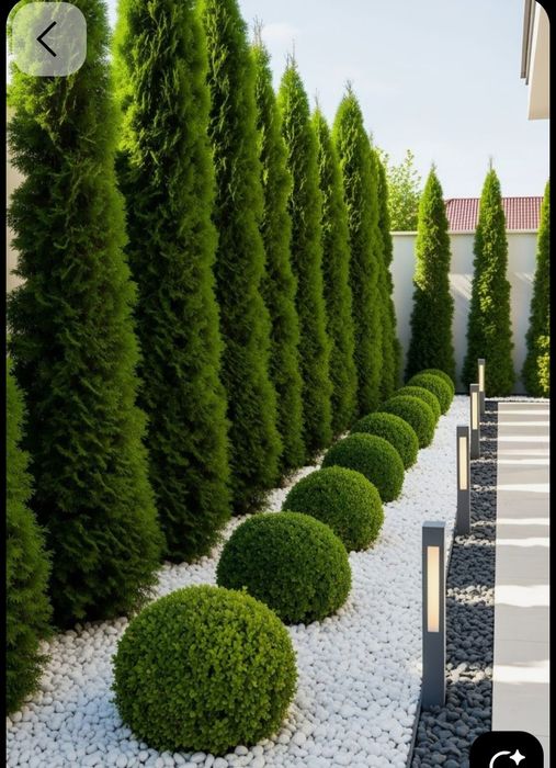 Piatra naturală – Pavaje, Placări și Grădină – Suceava