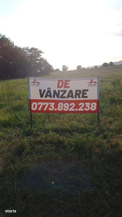 Teren intravilan Berca