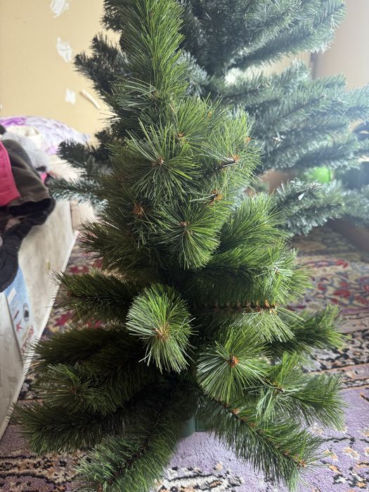 Елхи 2 броя  една голяма и една малка