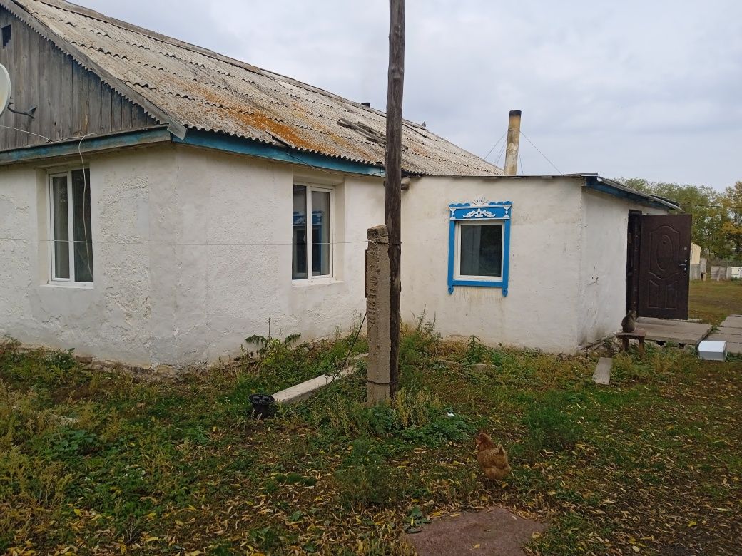 Продается дом в деревне