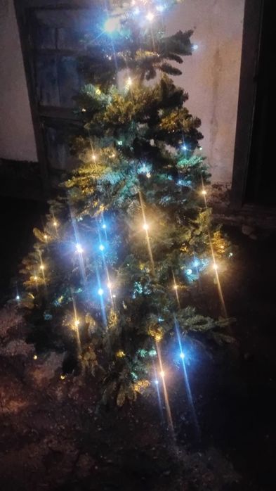 Продам Ёлку, торг есть