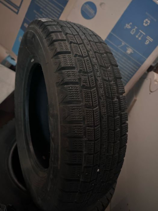 зимный балон 13 тик