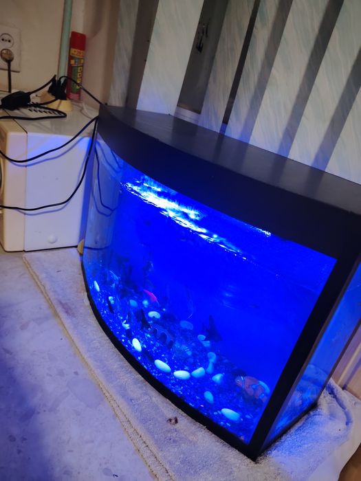 Akvarium 40Litr komplekt