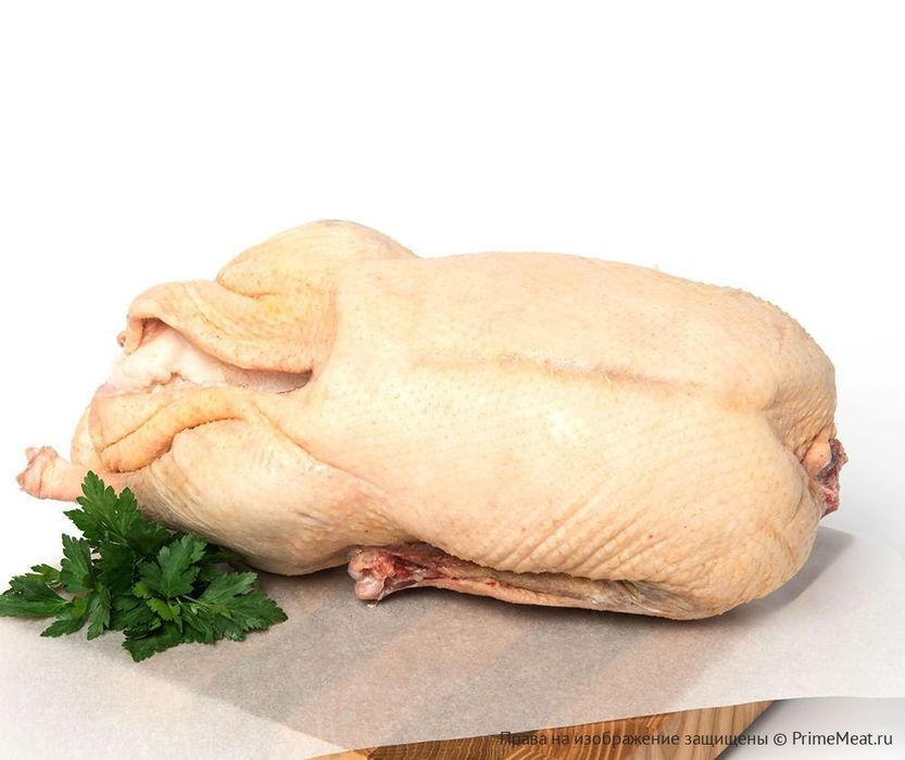 Продам домашних гусей