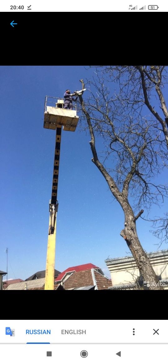 Дарахт кесиш хизмати ОБРЕЗКА деревьев