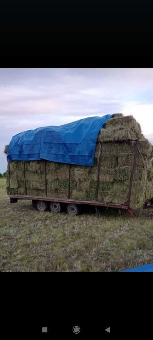 Продам сено в тюках разнотравье