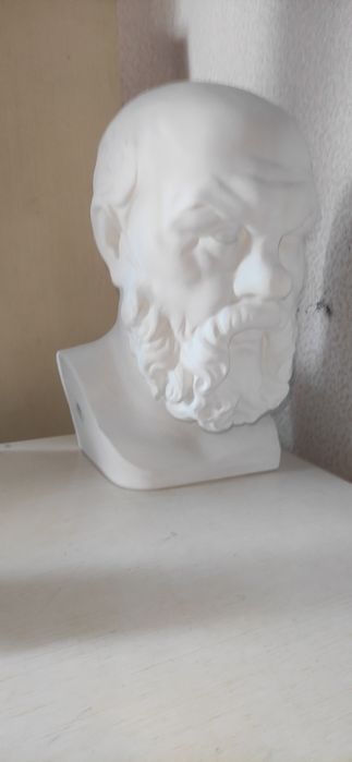 Гипсовая голова Сократа