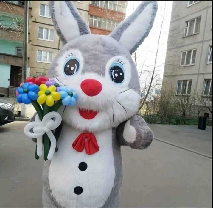 Анимационни костюми