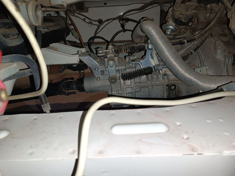 LABO 2019 Kraskasi 100% toza umuma ushi yoq