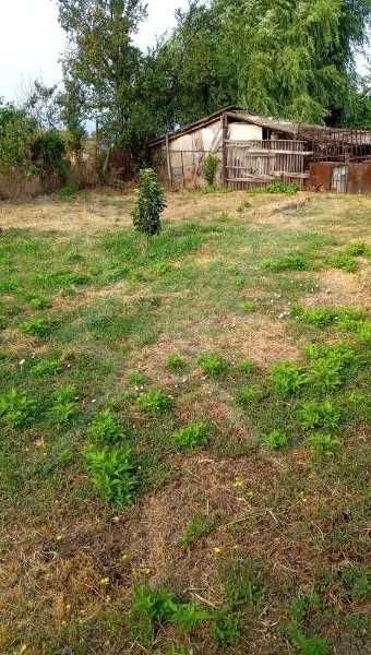 Продава се Промишлена сграда в с. Бенковски, Област Пловдив - 630 кв.м за 52 €/кв.м - Снимка #6