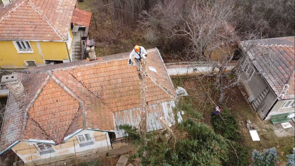 Сечене рязане оформяне на опасни дървета Арборист Вишка Кран - Договор