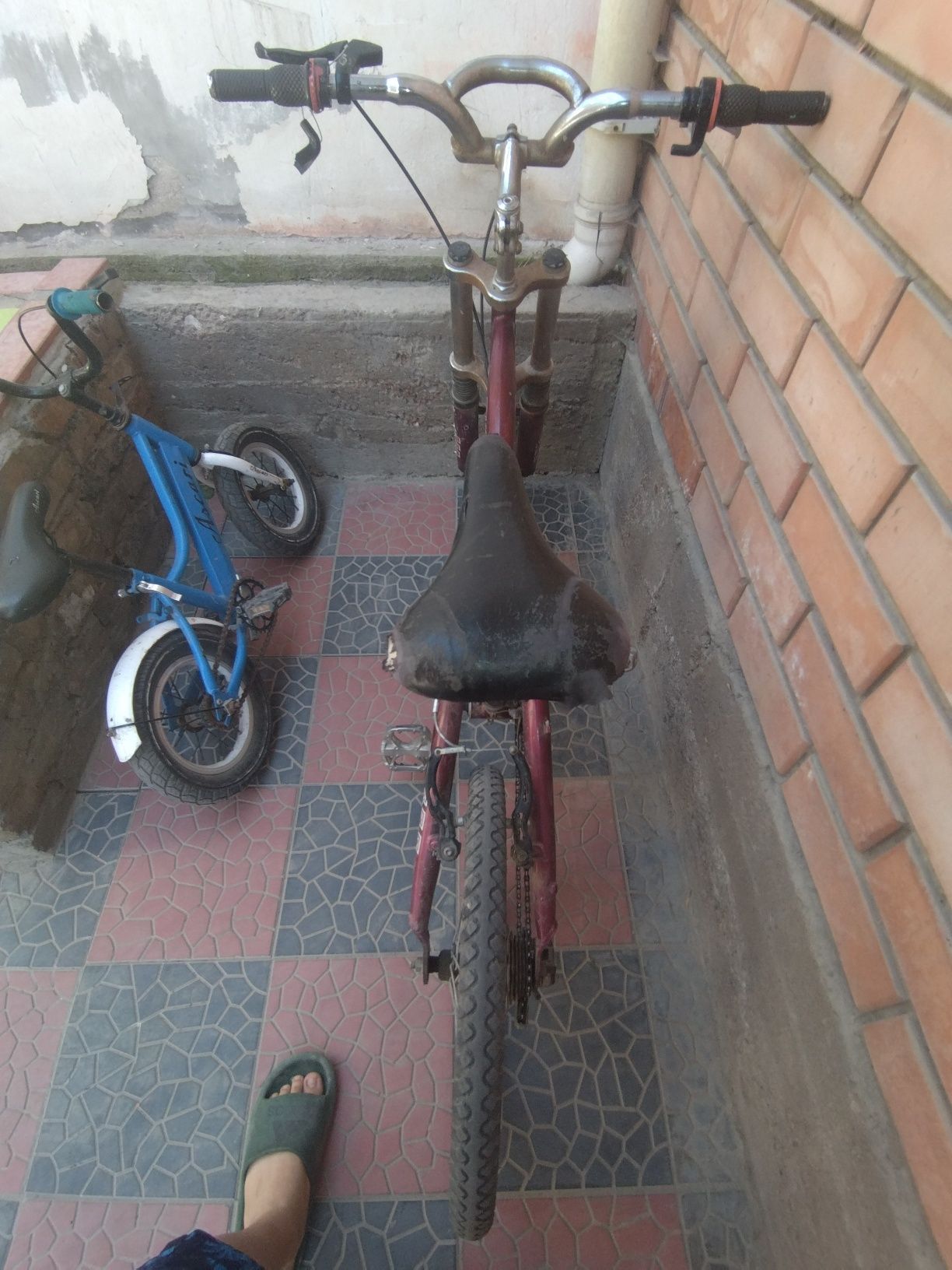 Velik bor amatizatorlari bor