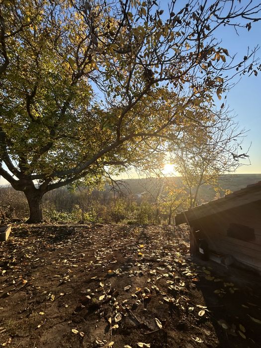 Къща в село долно белево