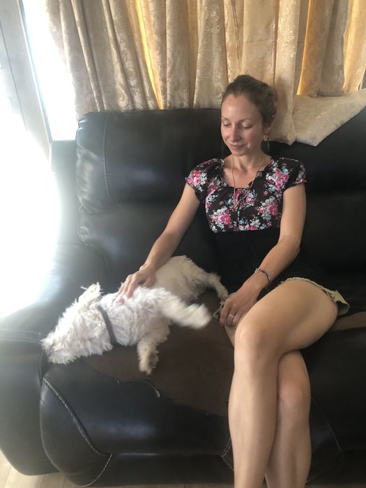 Cazare caini talie mica si medie