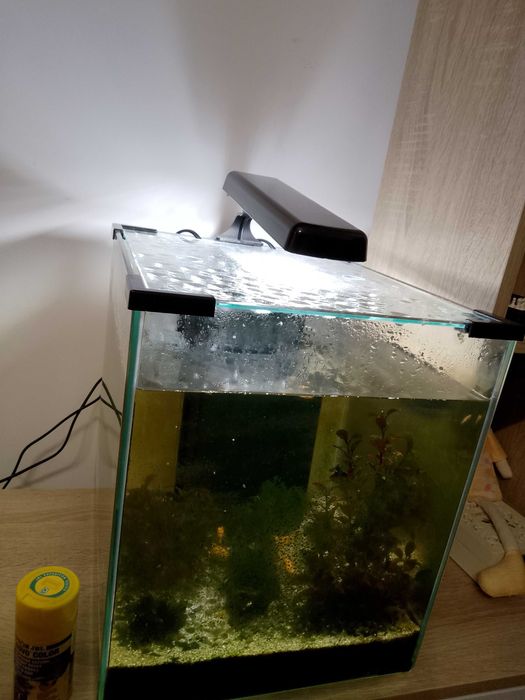 Vand Acvariu pesti 30 L cu accesorii