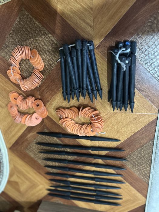 Түйеге мұрындықтар