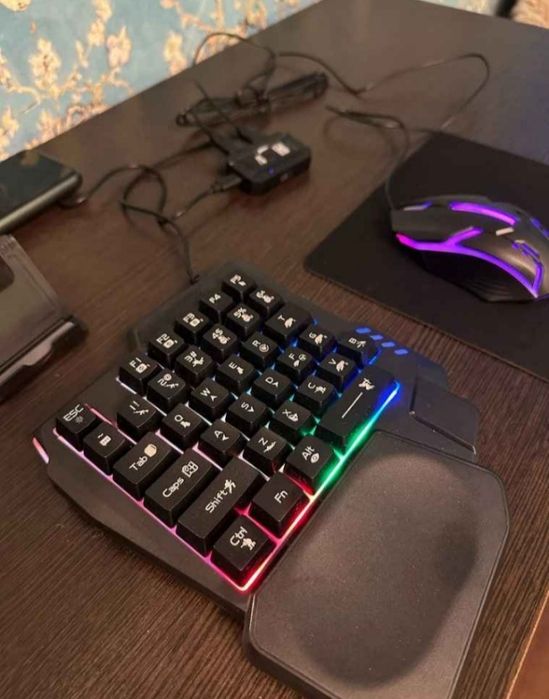 Klaviatura va mishka