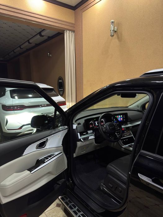 Kia carnival/Киа карнивал