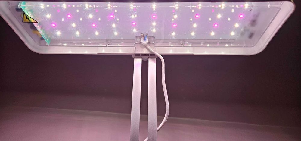 Rasadnita interior, cu lumina pentru cresterea plantelor, performanta