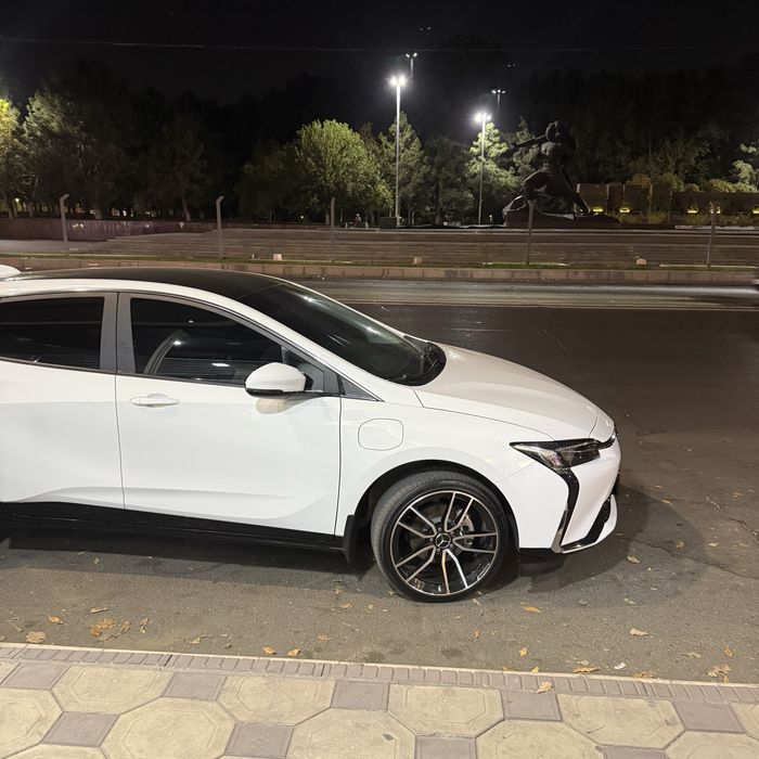 R19 Mers raznoshirokiy diska balon