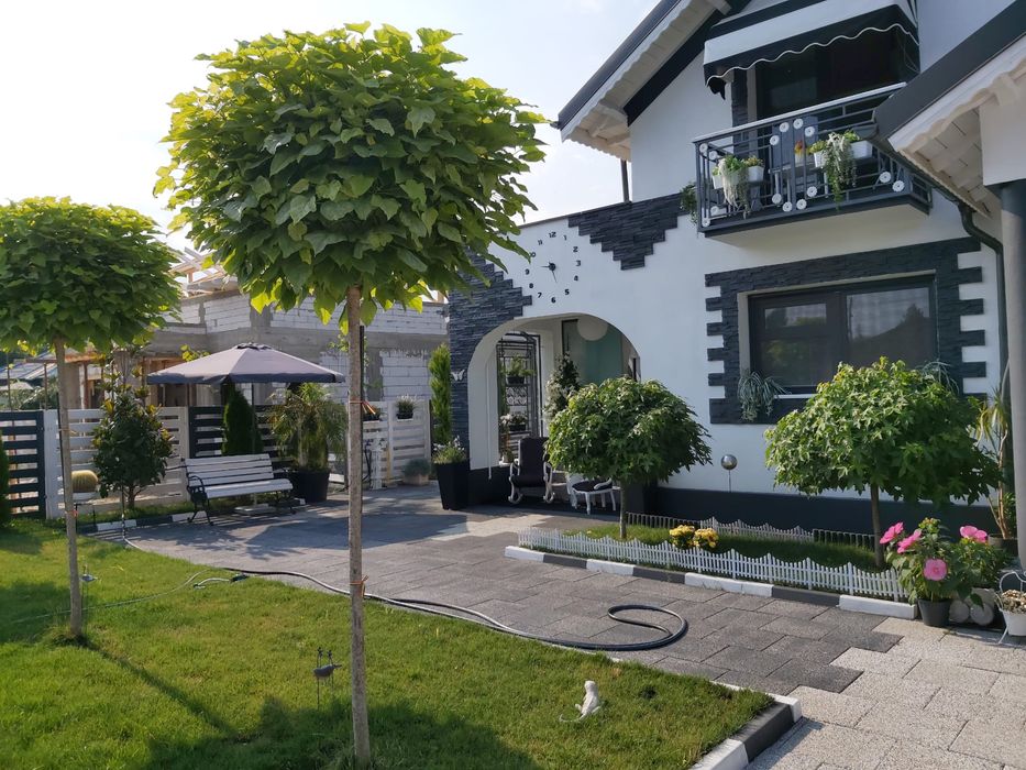 Decorăm grădini cu plante si gazon