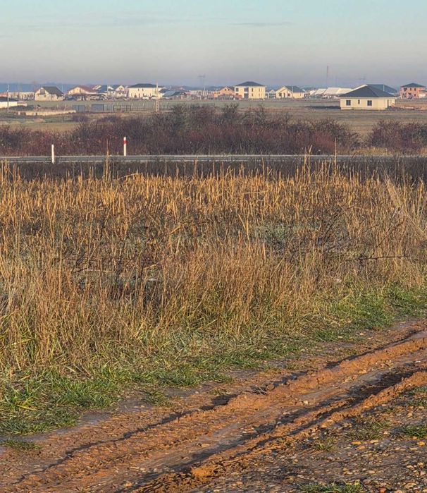 Teren 5 755 mp intravilan de vanzare urgent 8 Euro per metru patrat