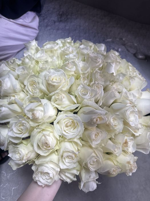 Продам цветы, получила их буквально восемь чназад. Для хорошего настр