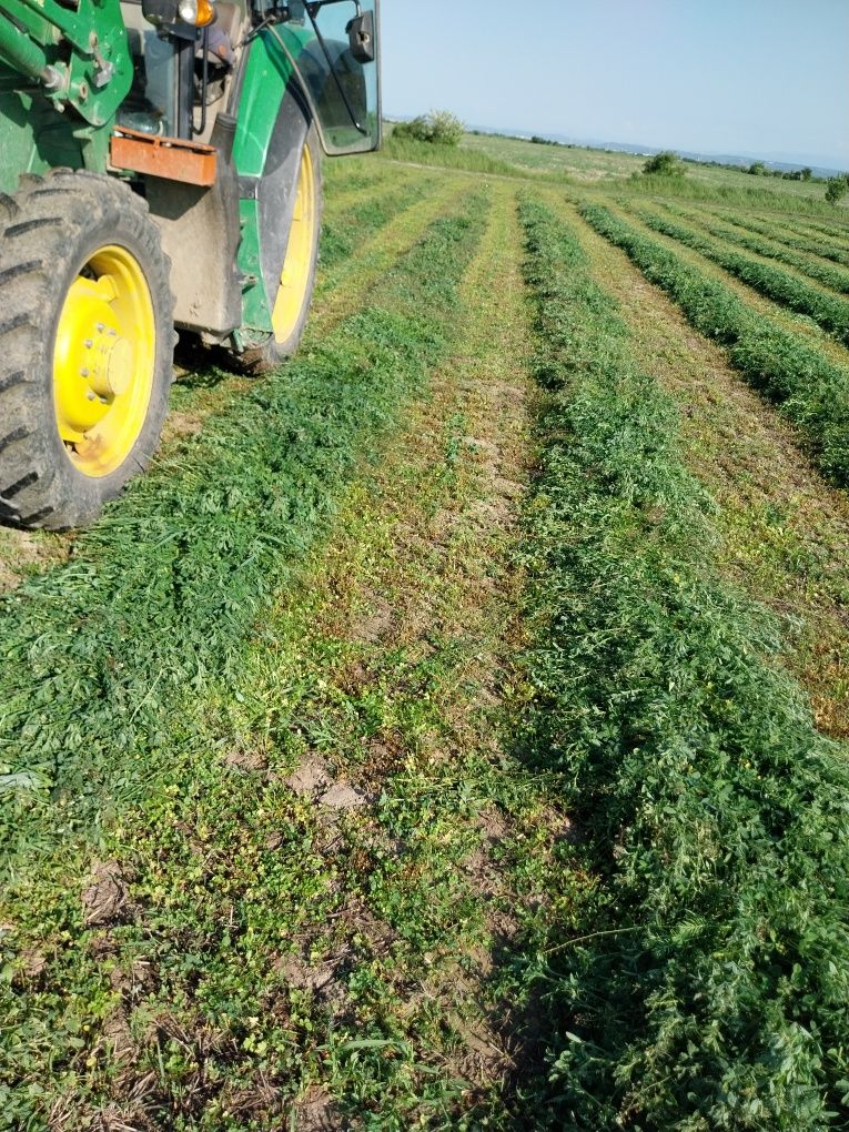 Baloti mega lucerna de vanzare 150/125
