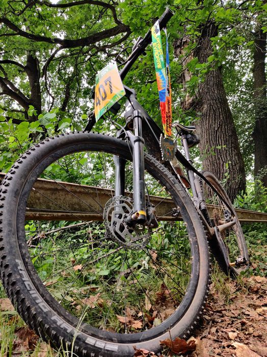 Bicicleta CUBE REACTION C:62 ONE CARBON 2023 Cadru L - Roti 29