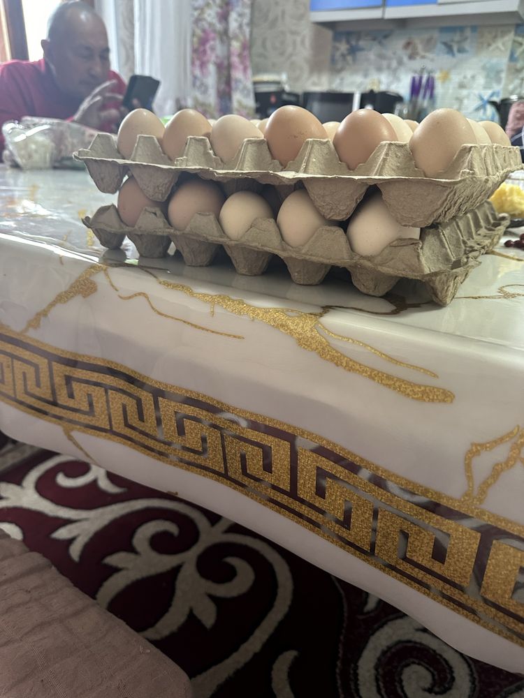 Продам домашный яйцо