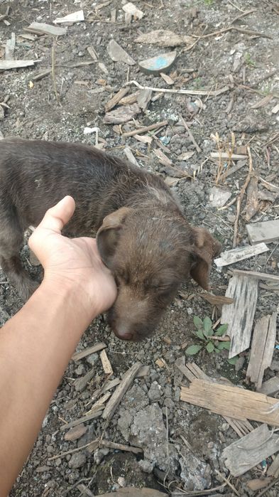 Алам дитндер болса 35ке берем Еркек