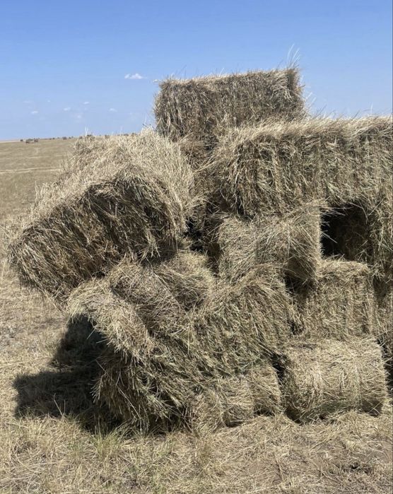 Продам сено в тюках